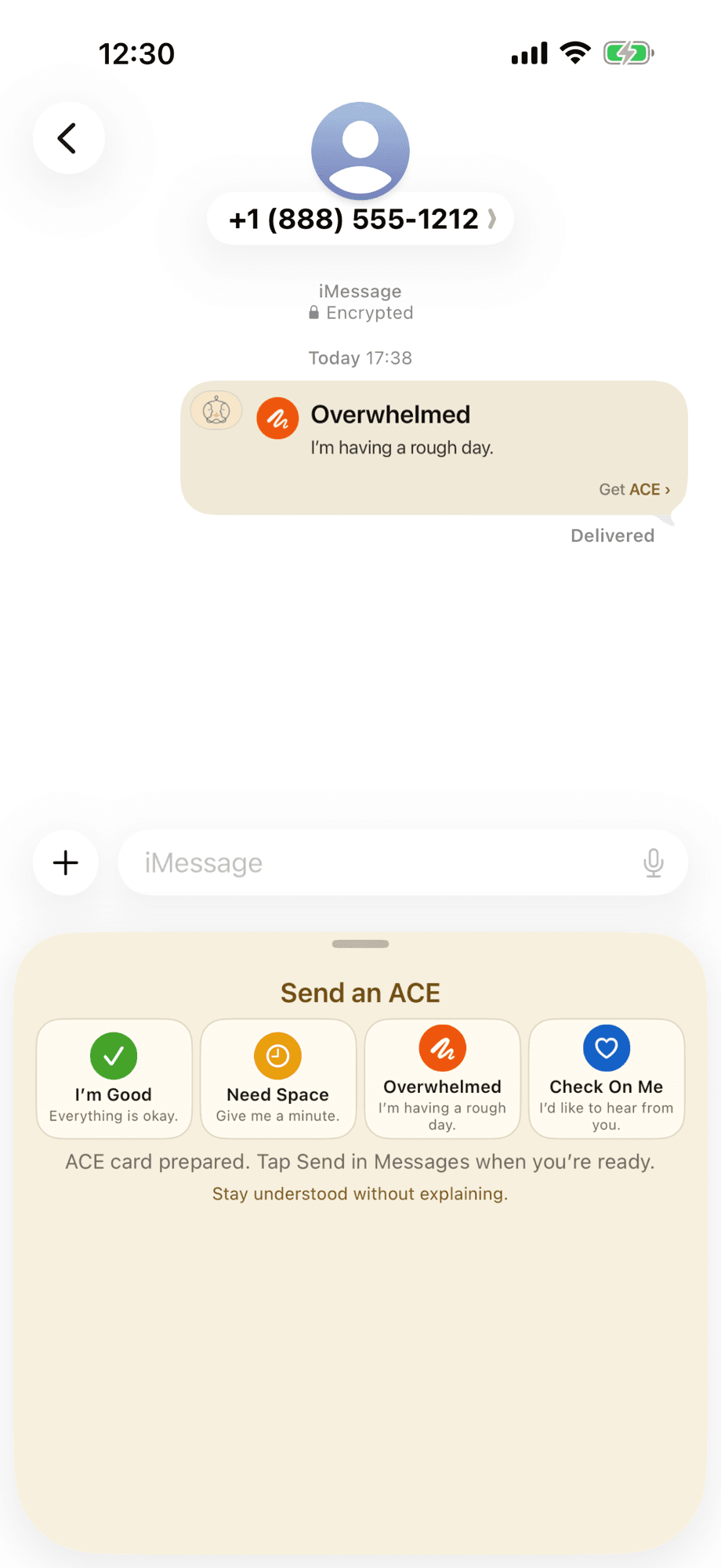 ACE on iPhone