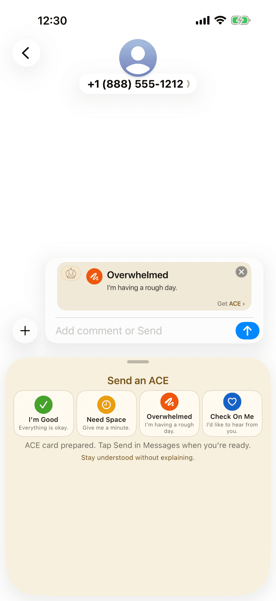 ACE on iPhone